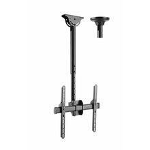 Charger l'image dans la galerie, V11HB413115B546B5A6878C91A9397944C32R5342029P5