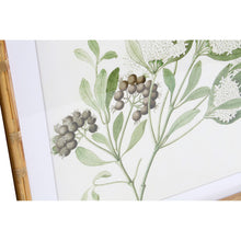 Charger l'image dans la galerie, Cadre DKD Home Decor Plantes botaniques (50 x 2.8 x 50 cm) (6 pcs)