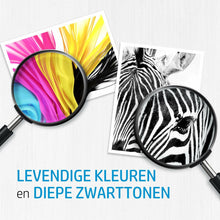 Charger l'image dans la galerie, V4H1279964B9614FE56DB754F02A2CE8E3CR6613035P10
