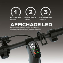 Charger l'image dans la galerie, V4H04D4878F5EECB04189ABACBE99F64ADFR7140231P5