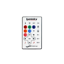 Charger l'image dans la galerie, V11H8555F15664C17976E76DBE72390BAEE7R7273374P3