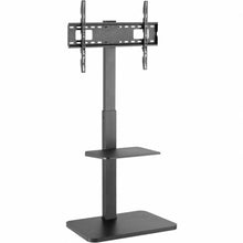 Charger l'image dans la galerie, V7HDB2AF945365EA1B6CE04C32D7A1798C7R6457052P2