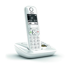 Charger l'image dans la galerie, V9H00D4A840D1C0B9661A8A1F0B123F5198R7217536P6