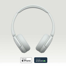 Charger l'image dans la galerie, V2HDA0125226B349B096DD81F00CC7B713DR7764848P10