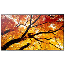 Charger l'image dans la galerie, V3HBB54F21131233FFBC8484EEE40863CA7R7556529P2