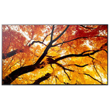 Charger l'image dans la galerie, V3H3F549A376780AD50D9E354D5A2C9C30ER7556530P3