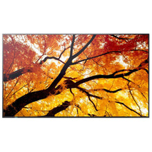 Charger l'image dans la galerie, V3H7A58BABF8651455198F34BC039F4BA71R7556528P1