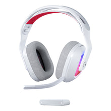 Charger l'image dans la galerie, V2HFDF1BE3DD9BF6818C84ECB949528F885R7831773P1