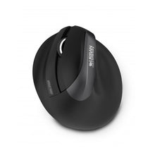 Charger l'image dans la galerie, V13H4A2D4139578B381D446D9D61D534613CR3640603P2
