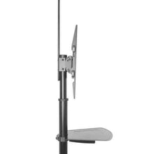 Charger l&#39;image dans la galerie, V12HFEBFB0DE3F080EB2F114525DFC2C3E24R3498296P2