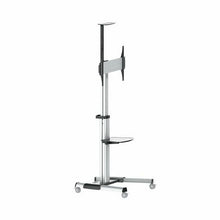 Charger l'image dans la galerie, V12HC6C9ECF90502339B54DDAAEE7CA166E4R3214129P2