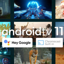 Charger l'image dans la galerie, V7HC4794D6A498623ED86FBE7B942011210R5503814P2