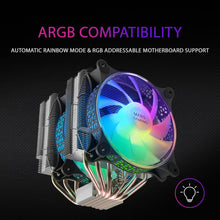 Charger l'image dans la galerie, V2H8984CD3DCEF73A24D67C74EF7A0275FDR7793088P8