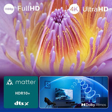 Charger l&#39;image dans la galerie, V4H2202B6C453B0C61AEA48DACE0B6D4207R6143224P10