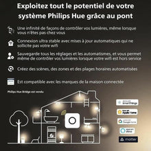 Charger l'image dans la galerie, V5H397581AB45DA6E0599BD7F9F06536A45R5782814P5