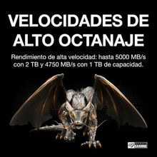 Charger l'image dans la galerie, V5HE2B07190512BBB24AA092B1E45491260R5579557P7