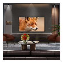 Charger l'image dans la galerie, V5H0B2C44A6BB40083ACC07602ABB56EAC0R5952693P4