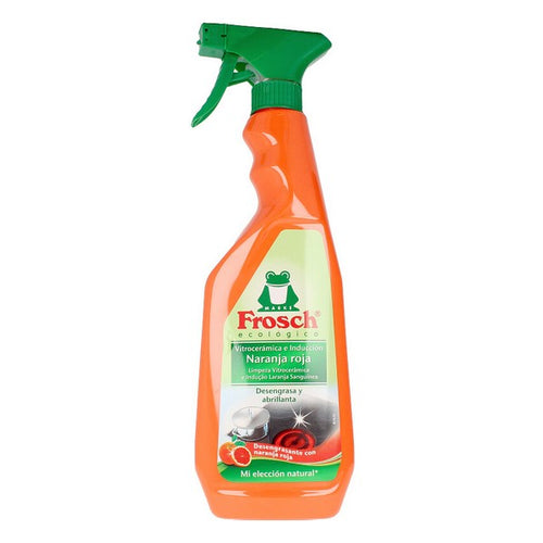 Nettoyeur de surface Kitchen Frosch (750 ml)