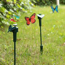 Charger l'image dans la galerie, Papillon Solaire Fluttering