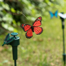 Charger l'image dans la galerie, Papillon Solaire Fluttering