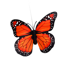 Charger l'image dans la galerie, Papillon Solaire Fluttering