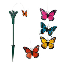 Charger l'image dans la galerie, Papillon Solaire Fluttering