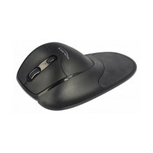 Charger l&#39;image dans la galerie, Souris Optique Ergonomique DELOCK 12552 USB 2.0 1600 dpi Noir