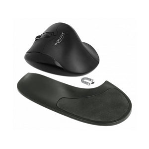 Souris Optique Ergonomique DELOCK 12552 USB 2.0 1600 dpi Noir