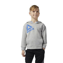 Charger l&#39;image dans la galerie, Sweat à capuche enfant Reebok B ES Oth Hdy Gris (Taille m)