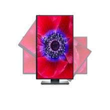Charger l'image dans la galerie, Écran Dell U2520D 25" QHD IPS WLED