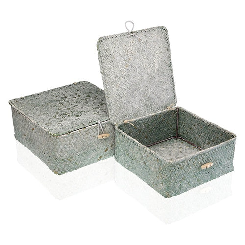 Set de basket Algues marines (2 Pièces) (23 x 10 x 23 cm)