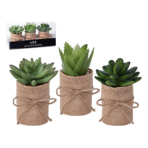 Plante décorative 119626 Vert (3 Pcs)