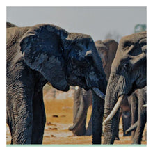 Charger l&#39;image dans la galerie, Cadre DKD Home Decor Africain animaux (2 pcs) (120 x 2 x 40 cm)