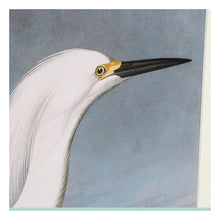Charger l&#39;image dans la galerie, Cadre DKD Home Decor Oiseau Oriental Encadrée Bois MDF (70 x 3 x 88 cm)