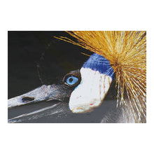 Charger l&#39;image dans la galerie, Cadre DKD Home Decor Bird (2 pcs) (94 x 3 x 64 cm)