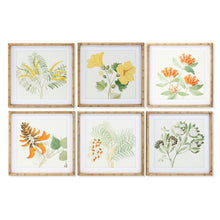 Charger l&#39;image dans la galerie, Cadre DKD Home Decor Plantes botaniques (50 x 2.8 x 50 cm) (6 pcs)