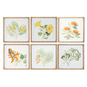 Cadre DKD Home Decor Plantes botaniques (50 x 2.8 x 50 cm) (6 pcs)