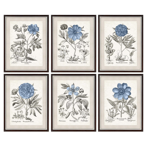 Cadre DKD Home Decor Fleurs (6 pcs) (50 x 2 x 65 cm)