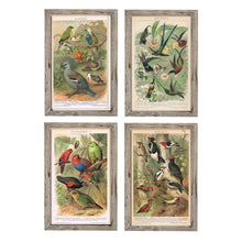 Charger l&#39;image dans la galerie, Cadre DKD Home Decor Oiseaux (45 x 2 x 65 cm) (4 pcs)