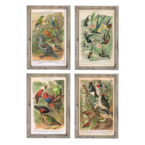 Cadre DKD Home Decor Oiseaux (45 x 2 x 65 cm) (4 pcs)