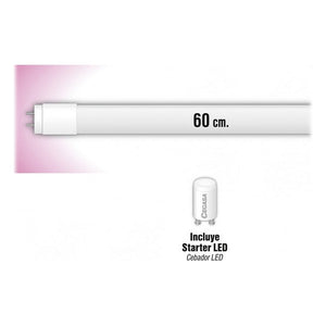 Tube LED Cegasa 324897 T8 4000K 9W Lumière chaude
