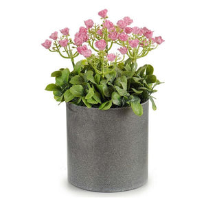 Plante décorative Plastique (20 x 30 x 20 cm)