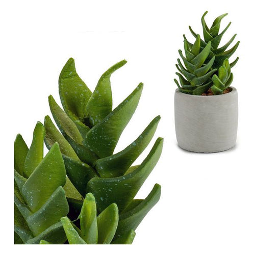 Cactus Plastique Cactus (10,5 x 21 x 10,5	cm)