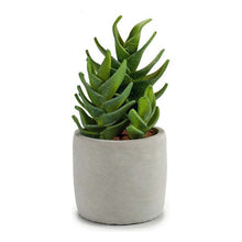 Charger l&#39;image dans la galerie, Cactus Plastique Cactus (10,5 x 21 x 10,5	cm)