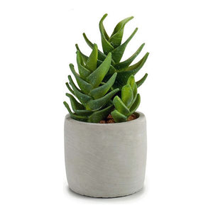 Cactus Plastique Cactus (10,5 x 21 x 10,5	cm)
