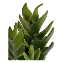 Charger l&#39;image dans la galerie, Cactus Plastique Cactus (10,5 x 21 x 10,5	cm)