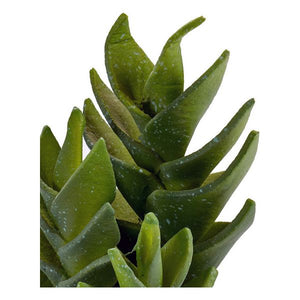 Cactus Plastique Cactus (10,5 x 21 x 10,5	cm)