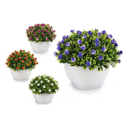 Plante décorative Plastique (14 x 12 x 14 cm)