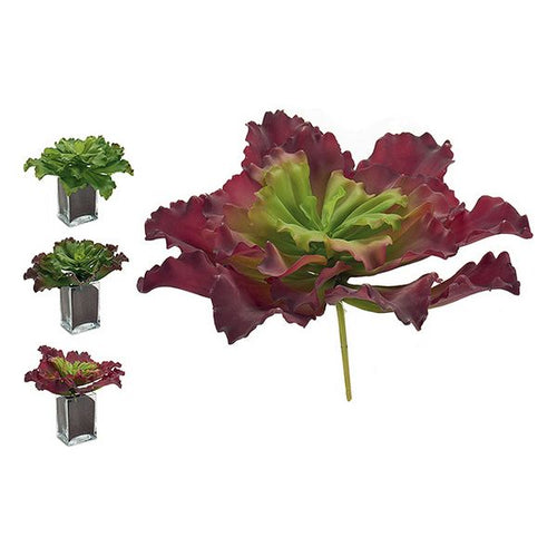 Plante décorative Volets 3 (31 x 24 x 31 cm)