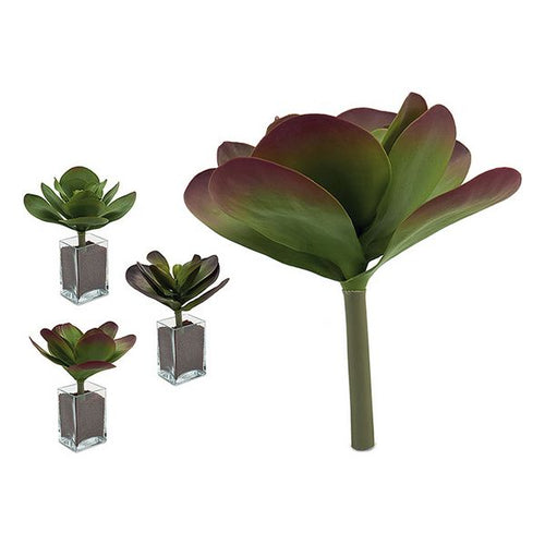 Plante décorative Volets 3 (27 x 29 x 27 cm)